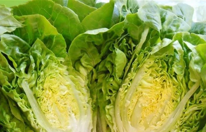 كيف يساعد الخس في تحسين صحتك؟
