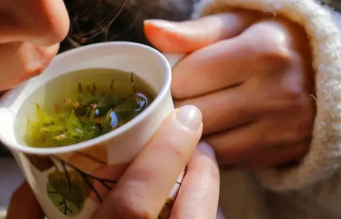 أنواع من الشاي تقلل الالتهابات وآلام الجسم.. تعرفوا عليها