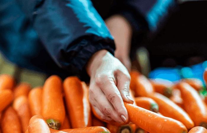 السر الحقيقي خلف أسطورة "الجزر يقوي النظر"