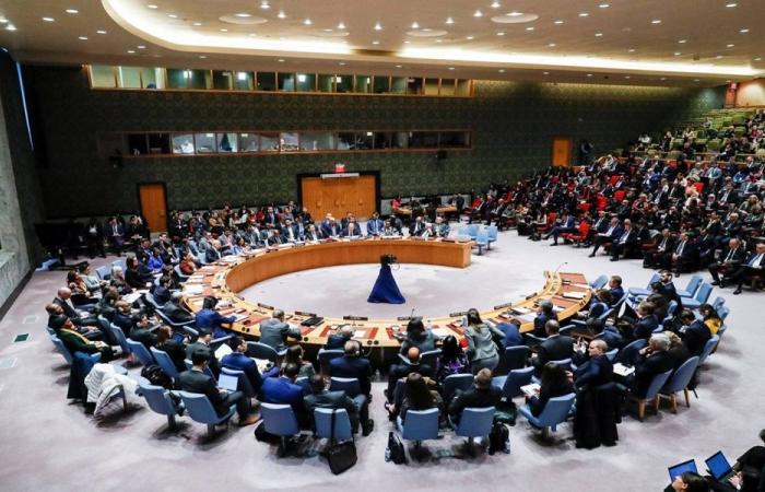 بطلب من فنزويلا.. إجتماع مرتقب لمجلس الأمن