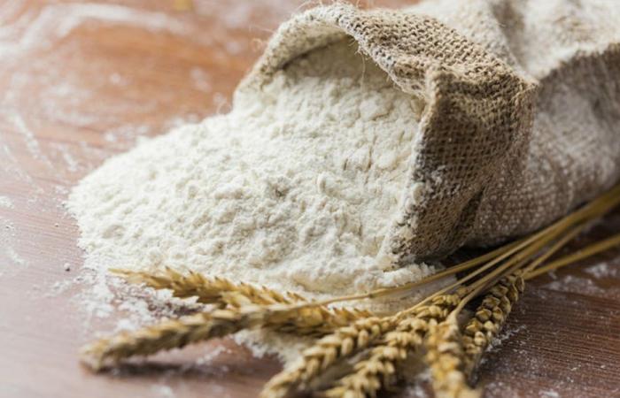 موزعو الطحين في الجنوب يناشدون وزير العمل