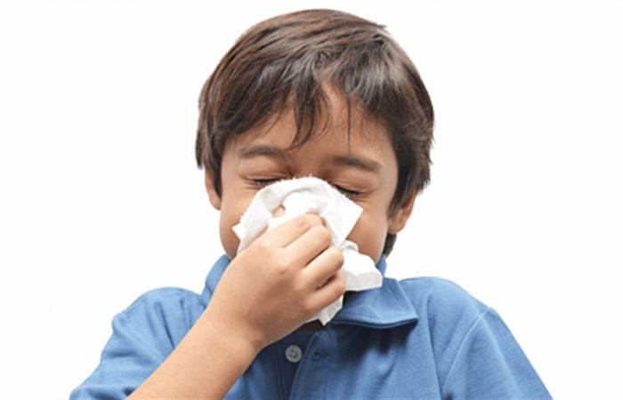 في موسم الانفلونزا.. أطعمة تُسرّع التعافي فما هي؟