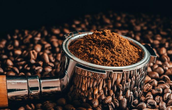 هل تبطئ القهوة الشيخوخة البيولوجية؟