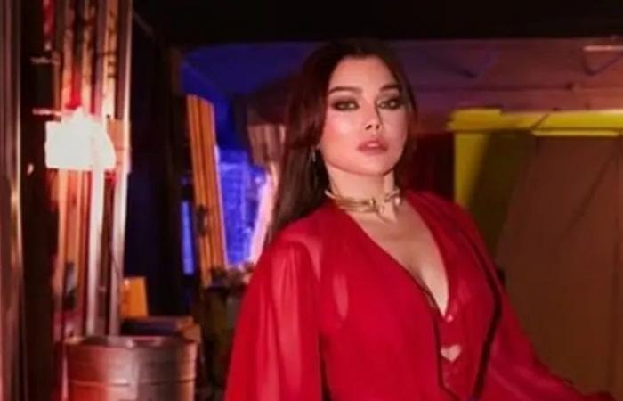 بقرار قضائي.. هيفاء وهبي تعود للغناء في مصر