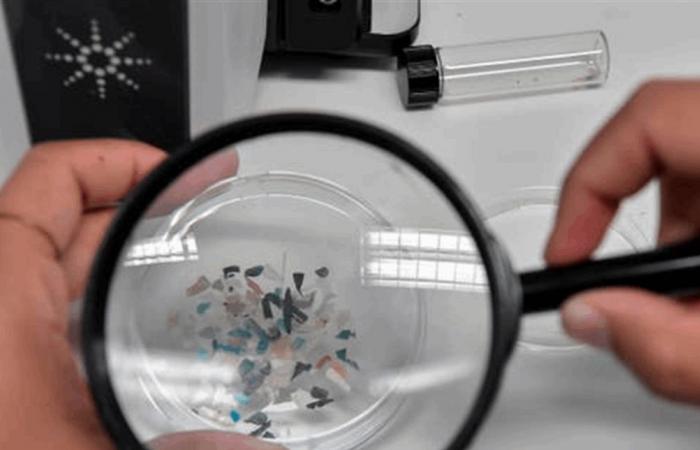 من الطعام والماء والهواء.. ميكروبلاستيك يستقر في الأعضاء ويؤذي الأوعية