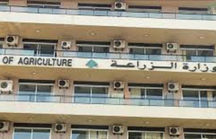 “الزراعة”: نواصل حملة تحصين الأبقار ضد الحمى القلاعية