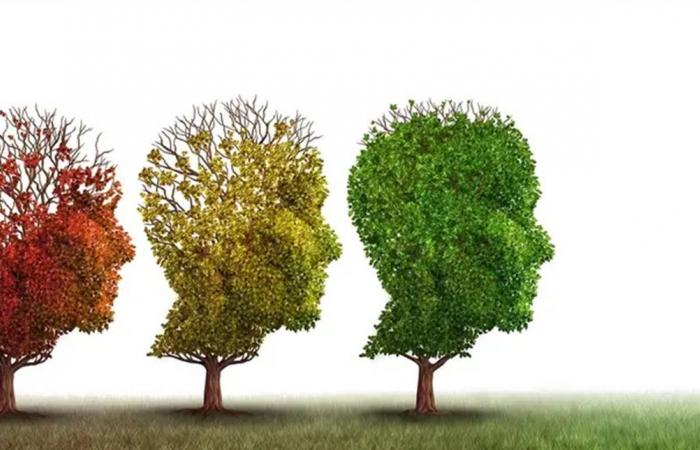 على 4 مراحل عمرية... بحسب العلماء الدماغ يعيد تشغيل نفسه