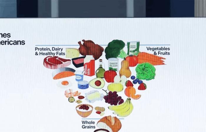هرم غذائي "مقلوب" في أميركا.. أستاذة تغذية: مربك ولا يشرح حصص الطعام