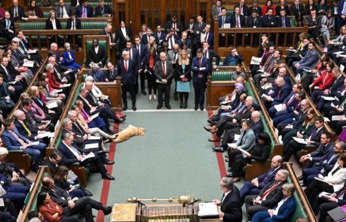 بسبب غرينلاند.. نائبان بريطانيان يدعوان لمقاطعة كأس العالم