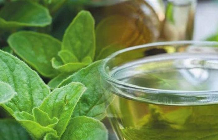 ما لا يعرفه الكثيرون عن شاي الأوريغانو