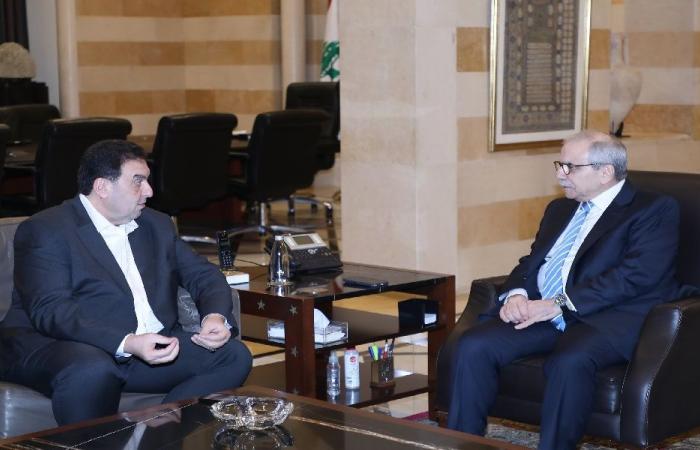 البعريني في السراي.. وهذا ما تم بحثه