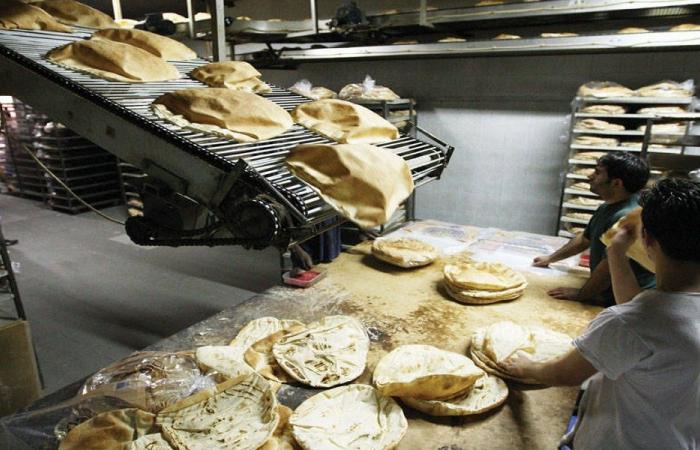 منظومة الأفران بين الفوضى والعمالة غير الشرعيّة