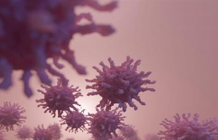 دراسة مقلقة.. تحذير من إنتشار "الإنفلونزا D" و"كورونا الكلبي"