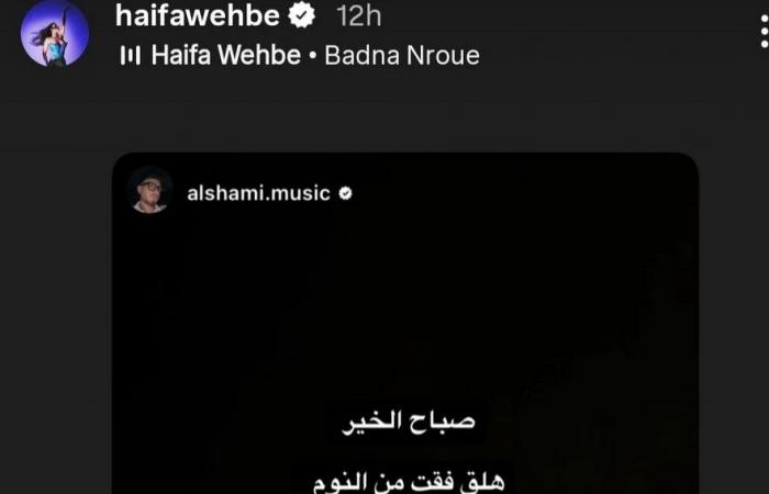 بعد الرسالة التي وجهها لها.. هيفا وهبي ترد على الشامي: لا بدنا نروق (صورة)