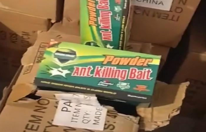 بالفيديو: ضبط أدوية ومبيدات مهرّبة في طرابلس