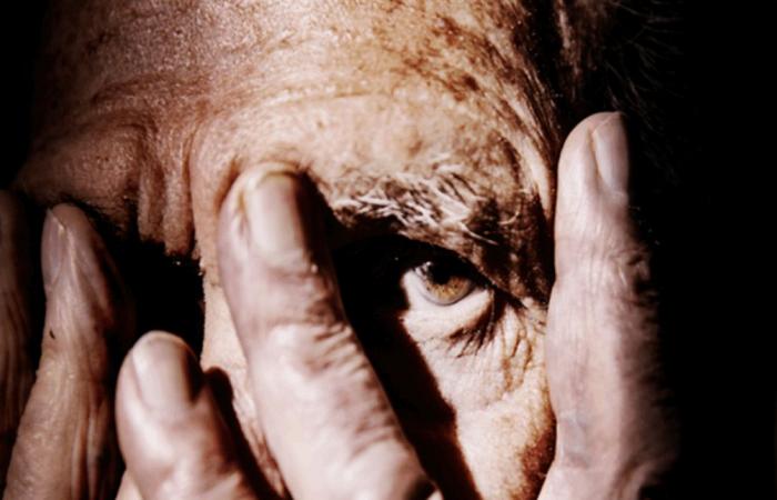 هل ينقذ الصبار من ألزهايمر؟.. دراسة جديدة تكشف