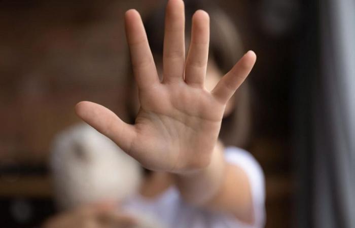 إليكم عدد شكاوى العنف الأسري عن كانون الثاني