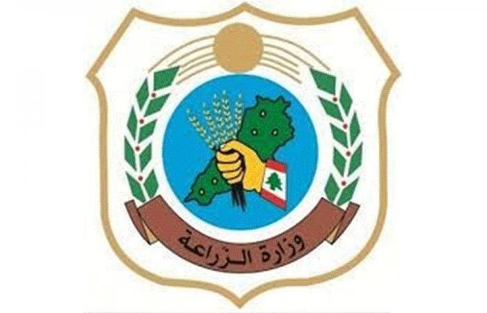 “الزراعة”: لا انتشار لمرض وبائي جديد