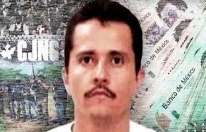 ضربة قاضية لإمبراطورية المخدرات بالمسكيك