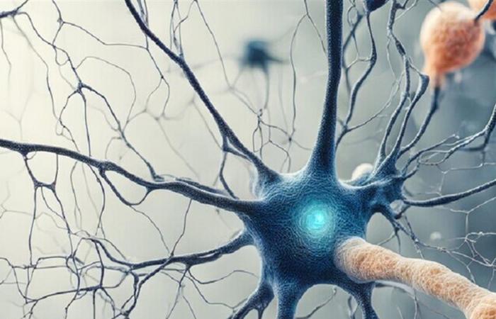 يصيب 95% من البشر.. فيروس قد يكون السبب الخفي لهذا المرض