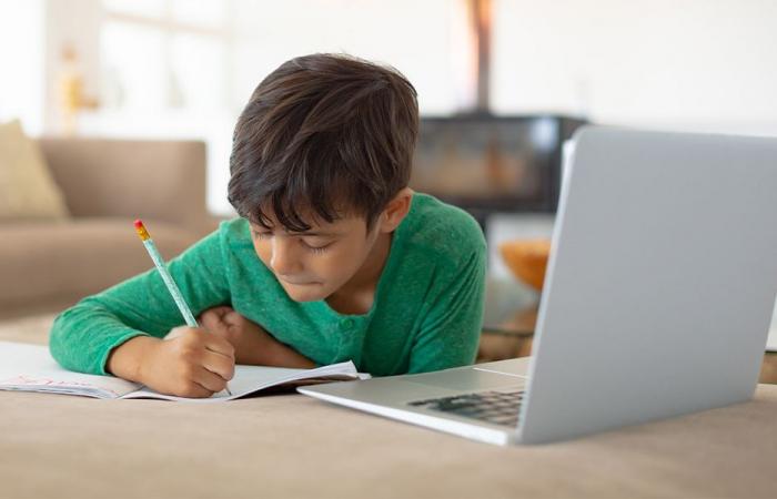 التعليم “أونلاين” في لبنان: أزمة أم فرصة؟