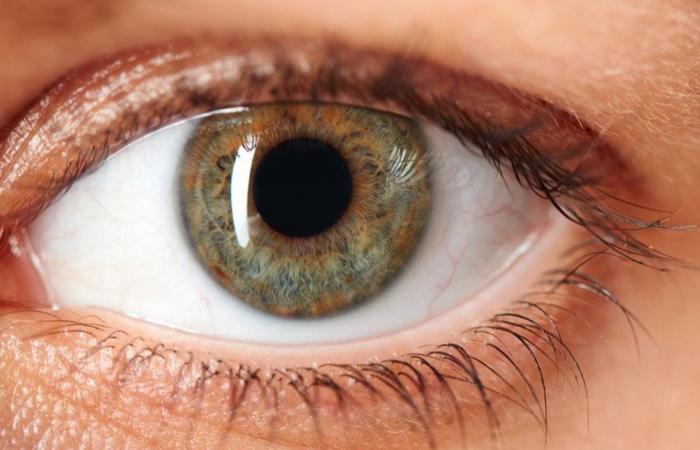 لإراحة العين والنظر.. خطوات بسيطة يمكن تنفيذها