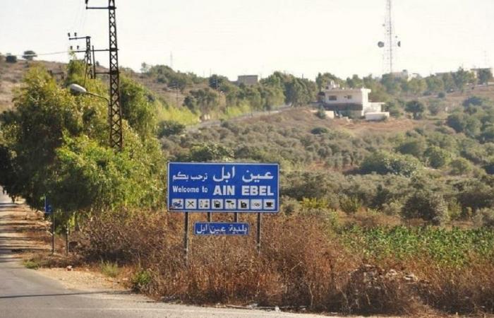 رئيس بلدية عين إبل: “القوى الأمنية موجودة في البلدة