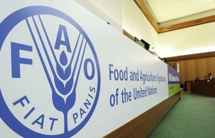 الفاو: أسعار الغذاء العالمية واصلت الارتفاع في آذار