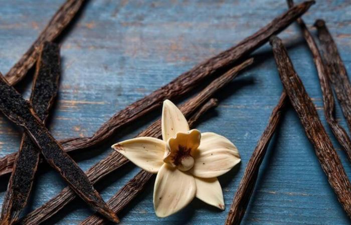 فوائد صحية واعدة للفانيليا.. تعرفوا إليها