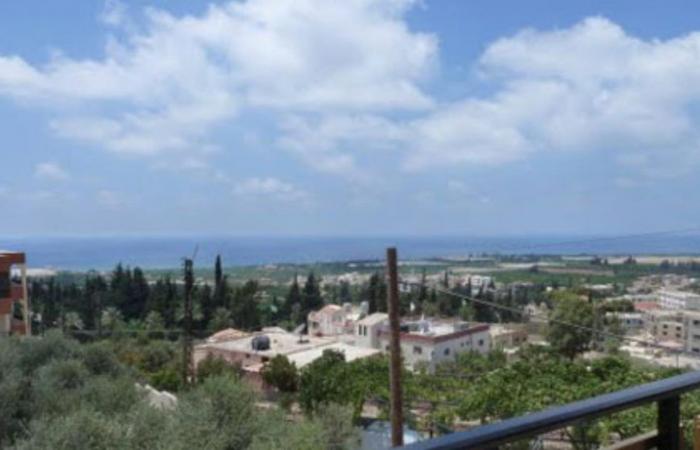 سيرًا على الأقدام.. وصول 3 عالقين من بلدة المنصوري إلى صور