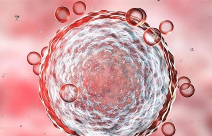 علماء يكتشفون محفز خفي وراء شيخوخة الخلايا الجذعية