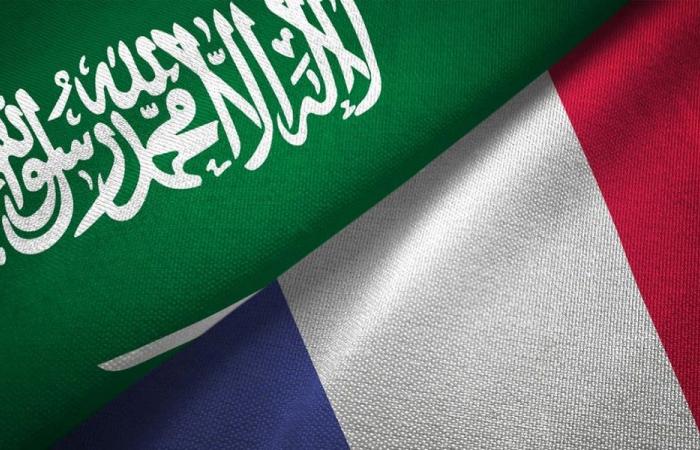 بن سلمان وماكرون يبحثان مستجدات التفاهم