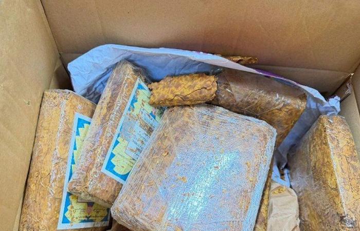 ضبط مصنوعات تبغية مهرّبة ومزوّرة شمالًا (صوَر)