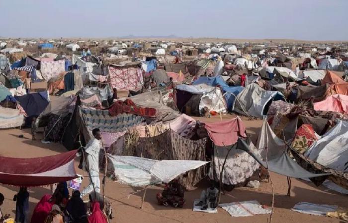إجماع أممي على فتح تحقيق في انتهاكات الأبيض بالسودان