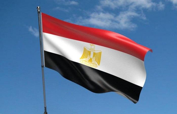 حيوان بري مجهول يثير القلق في مدينة مصرية