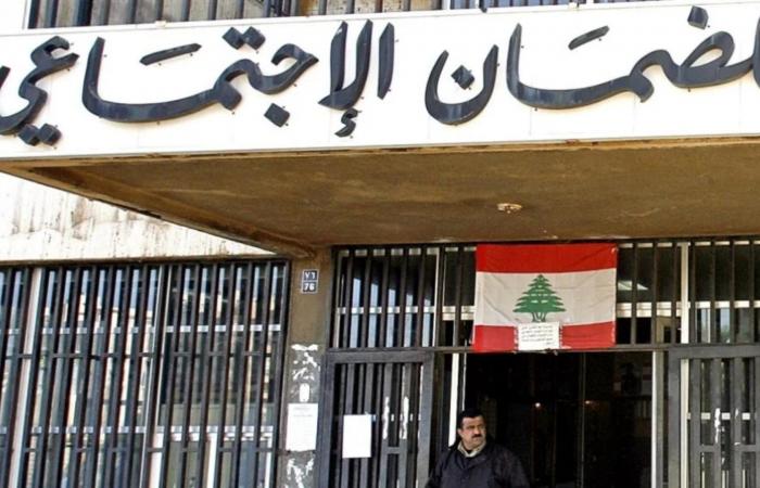 85% إعفاء من ديون الضمان.. والتقسيط حتى 5 سنوات
